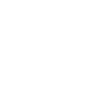 icon1