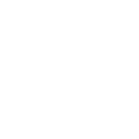 icon2